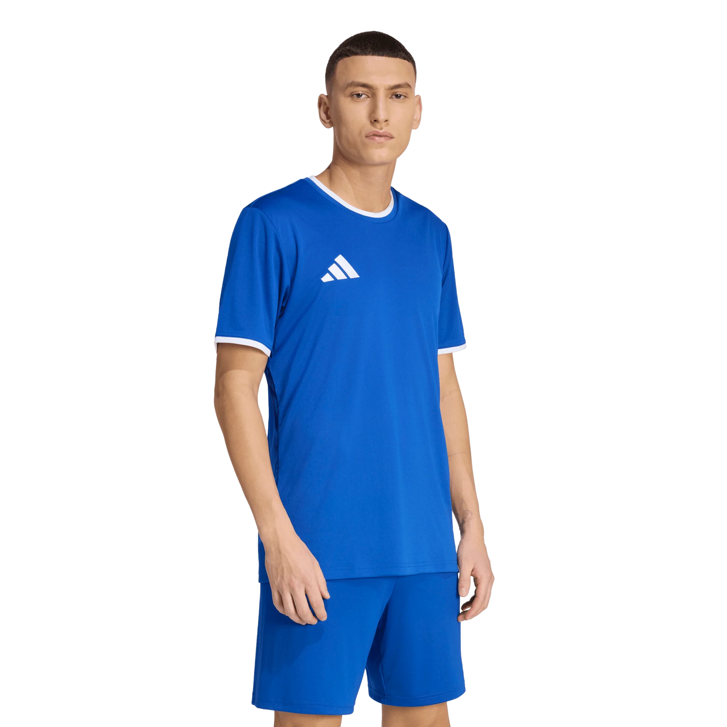 ADIDAS ENTRADA 26 JERSEY ROYAL BLUE MEN'S
