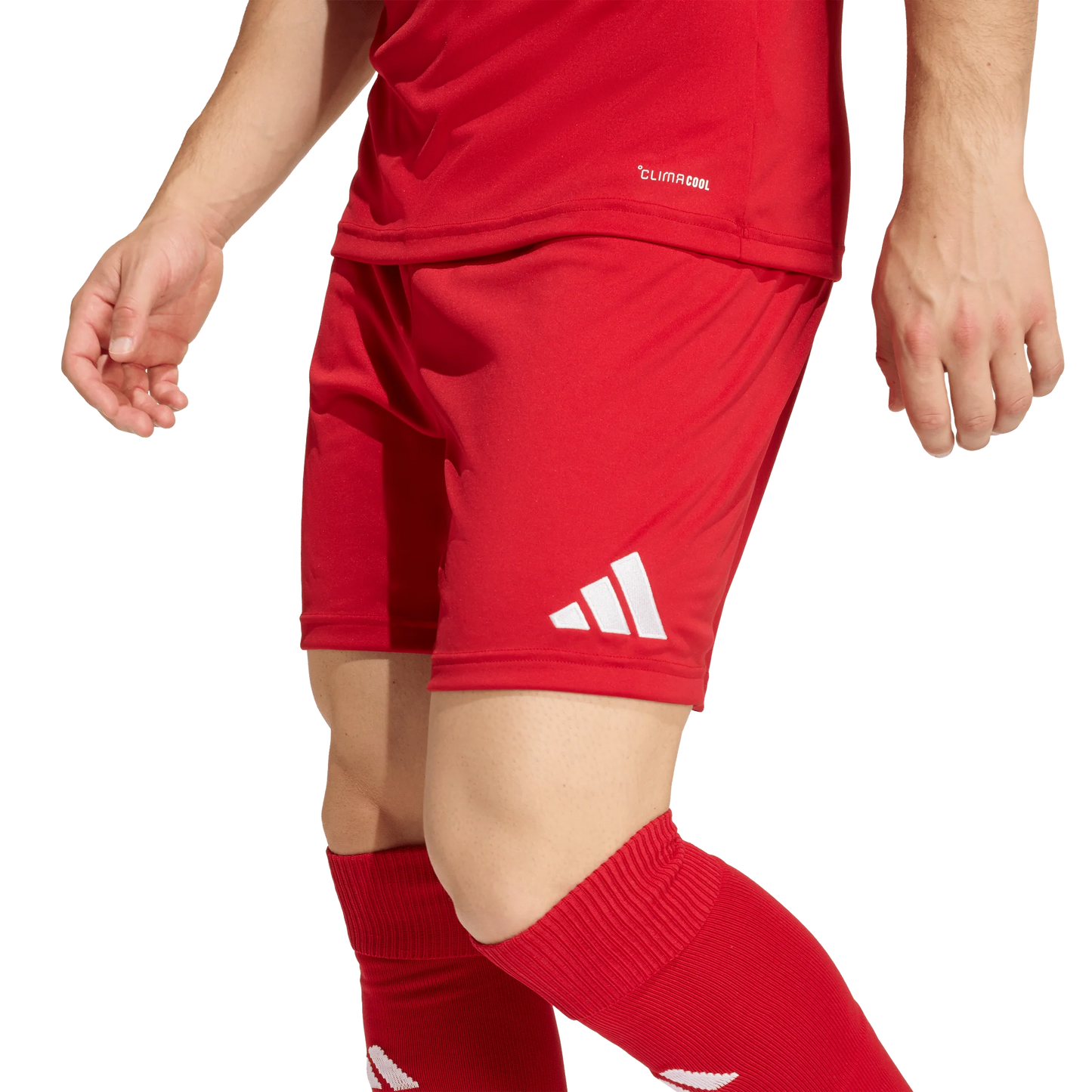 ADIDAS ENTRADA 26 SHORTS RED MEN'S