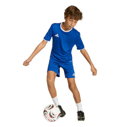 ADIDAS ENTRADA 26 SHORTS ROYAL YOUTH